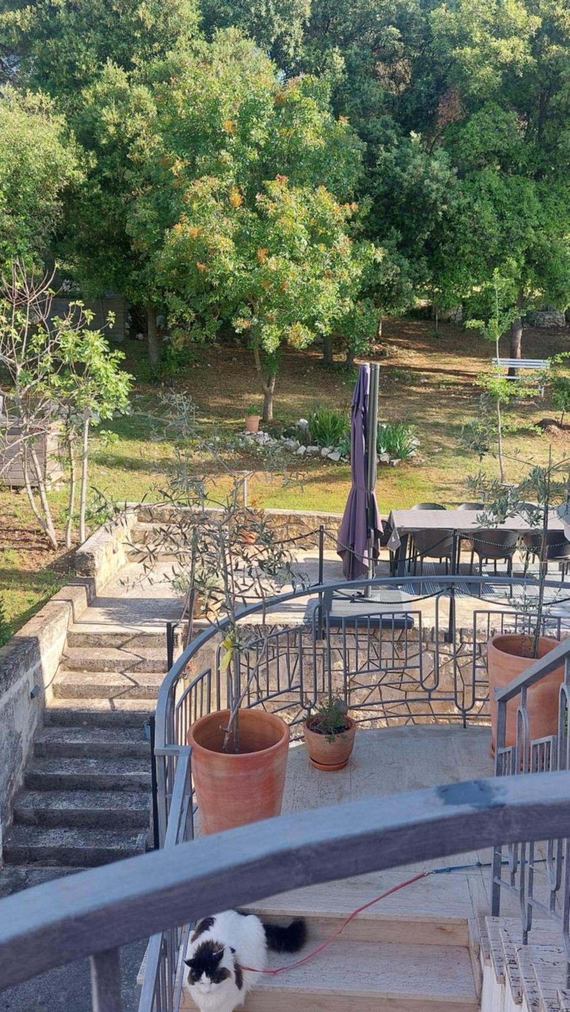 Apartmán Marta Rovinj Exteriér fotografie